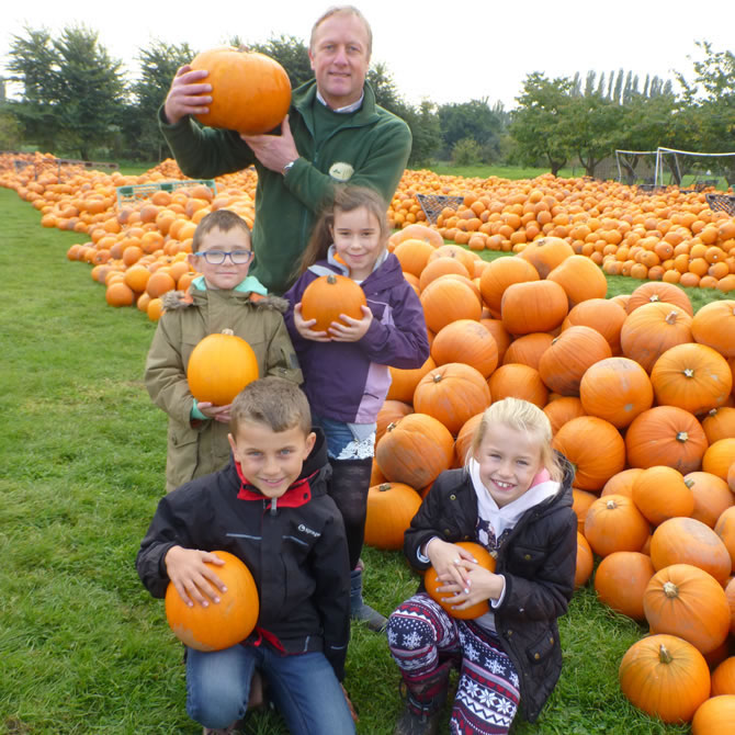 School Pumpkin Visit