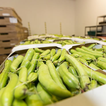 Peas and Beans