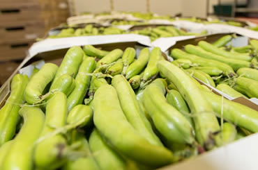 Peas and Beans