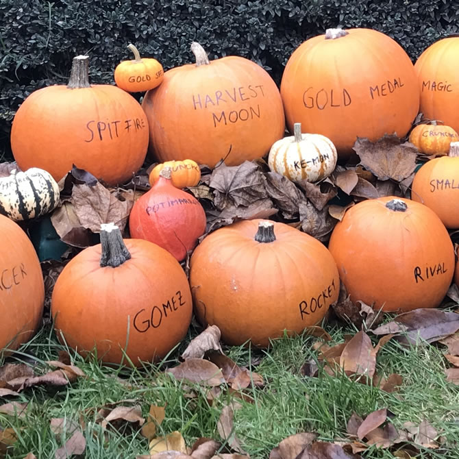 Pumpkins